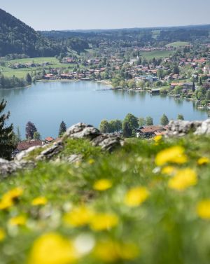 Primavera a Schliersee