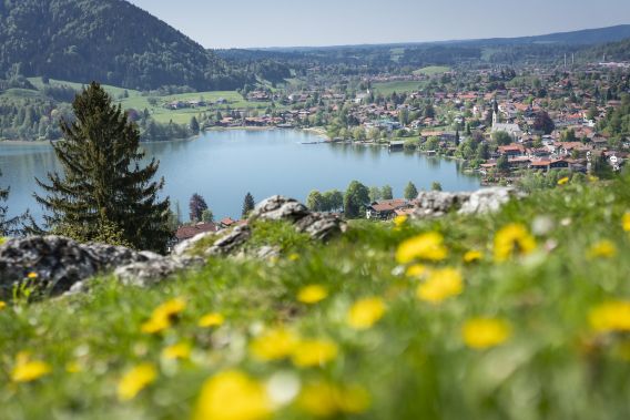 Frühling am Schlierseee