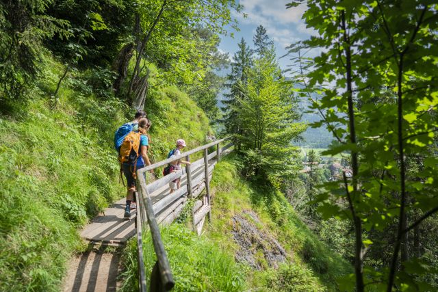 Wanderungen in den Bayerischen Alpen bei Bayrischzell.