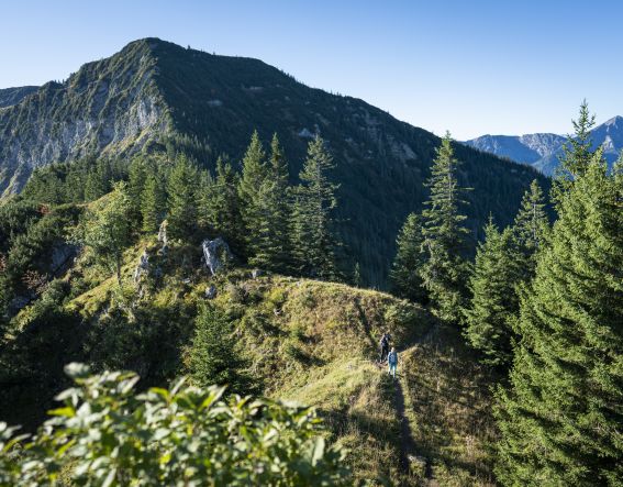 Wandern am Sudelfeld.