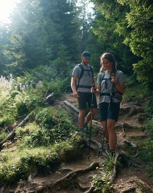 Über Wurzeln und Steine geht es den Berg hinunter.