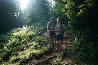 Über Wurzeln und Steine geht es den Berg hinunter.