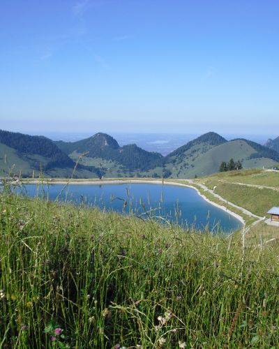 Bergsommer Sudelfeld mit dem Speicherteich im Hintergrund und blühenden Blumen im Vordergrund.