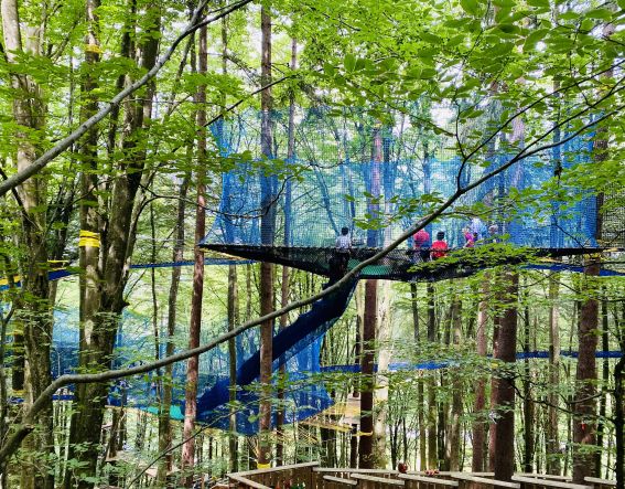 Kletterspaß für die ganze Familie in Kärnten