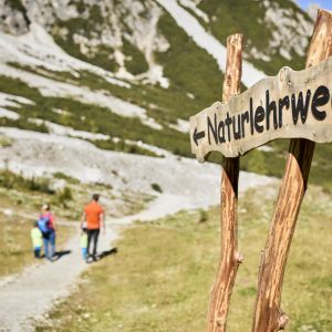 Auf gehts zum Naturlehrweg Schlick 2000! Lust auf eine Wanderung voller Abenteuer? Dann ist der Naturlehrweg Schlick genau das Richtige.