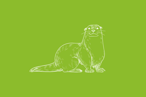 Icon Otter
