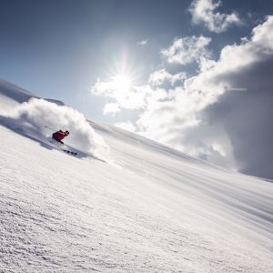 Freeride 7883©zillertaltourismus TomKlocker