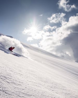 Freeride 7883©zillertaltourismus TomKlocker