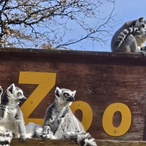 Raritätenzoo Ebbs
