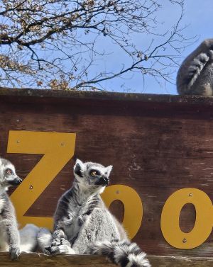 Raritätenzoo Ebbs