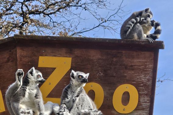 Raritätenzoo Ebbs