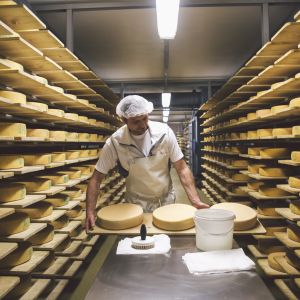 Produktion Keller der Naturkäserei TegernseerLand Käse wird im Käsekeller bearbeitet.