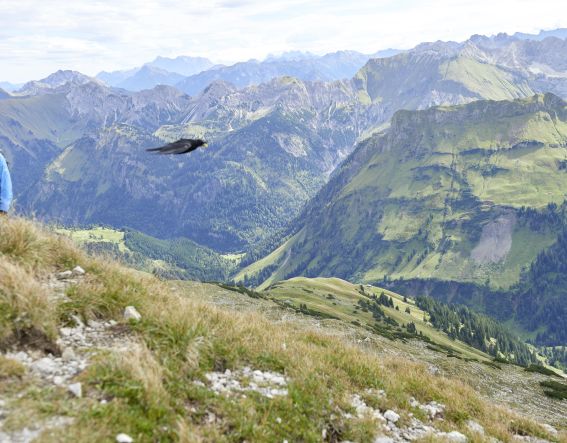 Vogelfrei bei Deiner Bergtour in den Allgäuer Alpen