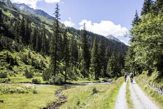 Mit dem Mountainbike sportlich unterwegs in den Alpen