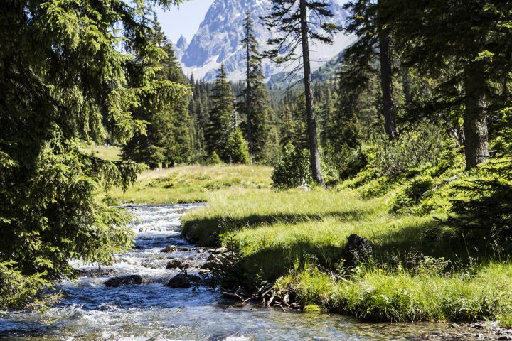 Durch das Silbertal über Bäche, durch Wälder und auf Hügel hinauf geht es stetig bergauf in Richtung Berg Patteriol in Tirol.