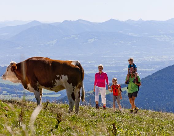 Rund um das Explorer Hotel Berchtesgaden gibt es viele Wandertouren, die auch für Familien bestens geeignet sind. Kennst Du schon den Explorer Happy Family Deal?