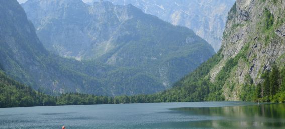 Wandeling naar de Fischunkelalm De wandeling naar de Fischunkelalm is ideaal voor uw vakantie in Berchtesgaden. Deze begint met een boottocht over de Königssee. U start bij de aanlegsteiger in Salet en volgt vervolgens een breed wandelpad naar de Obersee.