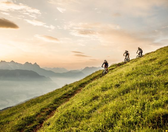 Auf Trails den Berg erobern- Mountainbiken in den Kitzbüheler Alpen
