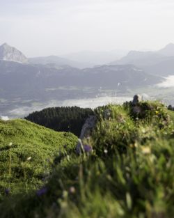 Schwierige Mountainbiketour am Harschbichl