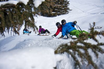 Sáňkování je skvělý zážitek pro celou rodinu a skutečnou alternativou k lyžování a snowboardingu.