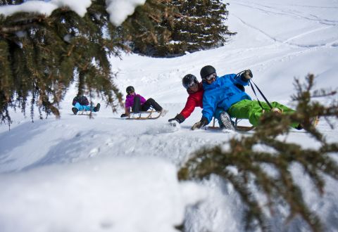Tobogganing is a great experience for the whole family and a real alternative to skiing and snowboarding.