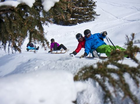 Sáňkování je skvělý zážitek pro celou rodinu a skutečnou alternativou k lyžování a snowboardingu.