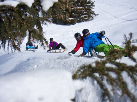 A szánkózás nagyszerű élmény az egész családnak, és valódi alternatívája a síelésnek és a snowboardozásnak.