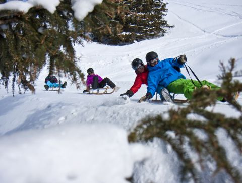 Rodelen is een geweldige belevenis voor het hele gezin en een goed alternatief voor skiën en snowboarden.