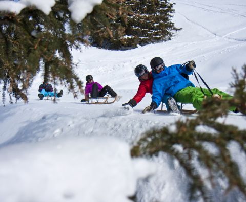 Jazda na sankach to świetna rozrywka dla całej rodziny i prawdziwa alternatywa dla jazdy na nartach i snowboardzie.