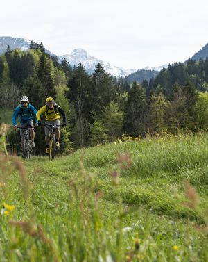 Mountainbiken in Deinem Aktivurlaub in Oberstdorf