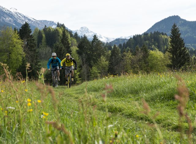 Sportief en actief, dat is waar de Alpine Explorers van Explorer Hotels voor staan. In de Allgäuer Alpen vind je de mooiste mountainbiketochten.