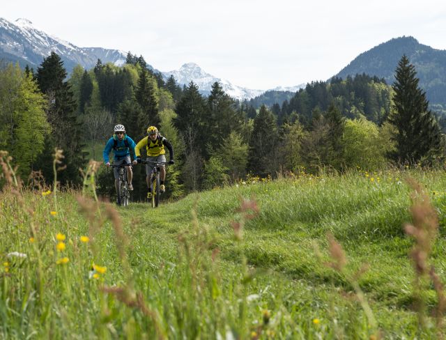 Sportivi e attivi: ecco cosa caratterizza gli esploratori alpini degli Explorer Hotels. Scoprite i tour in mountain bike più belli nelle Alpi dell'Algovia.