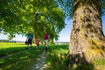 Viele leichte Wandertouren für Familien, rund um Nesselwang im Allgäu