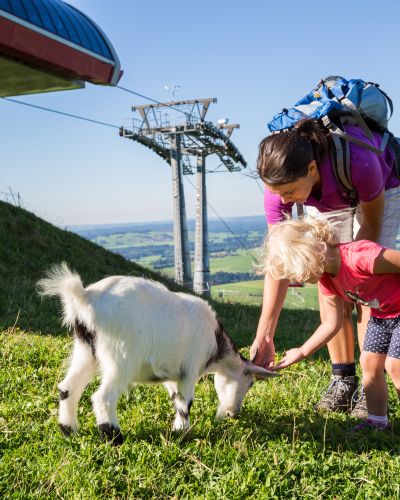Wenn Du zu Besuch bist im Explorer Hotel Neuschwanstein in Nesselwang im Ostallgäu, liegt Dir die Alpspitzbahn direkt zu Füßen. Hier gibt es im Urlaub im Sommer in Bayern tolle Wanderungen für Familien zu entdecken.