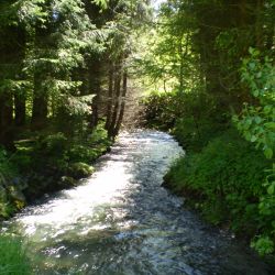 Wanderung durchs Wertachtal am Fluss entlang