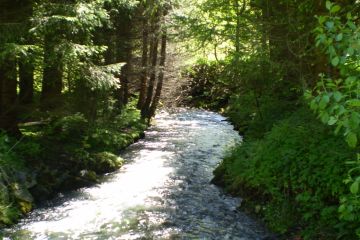 Wanderung durchs Wertachtal am Fluss entlang