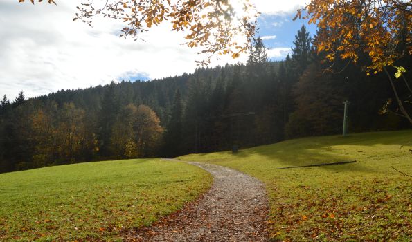 Der goldene Oktober in Nesselwang im Ostallgäu