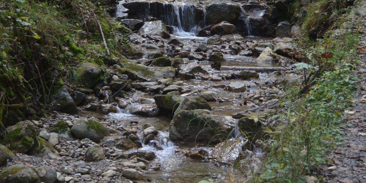 Perfekt für heiße Tage eignet sich der schattige Wasserfallweg durch den Wald am Bach entlang.
