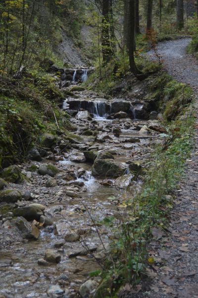 Perfekt für heiße Tage eignet sich der schattige Wasserfallweg durch den Wald am Bach entlang.