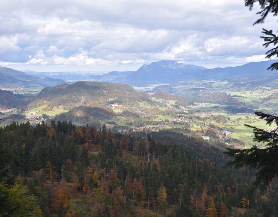 Panorama vom Söllereck