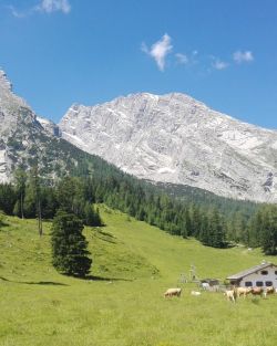 Kührointhütte vor dem Watzmann