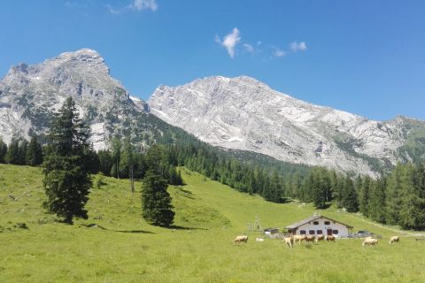 Die Kührointhütte liegt am Fuße des Kleinen Watzmanns. Sie ist ein beliebtes Ausflugsziel. Ganz in der Nähe befindet sich die Archenkanzel - ein toller Aussichtspunkt mit Blick auf den Königssee, St. Bartholomä und das Steinerne Meer.