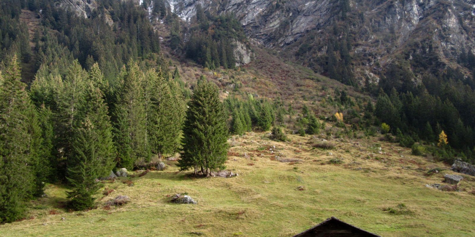 Wędrówki piesze po Montafon w trakcie letnich wakacji są wspaniałe.