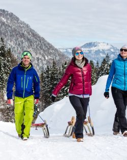 Sledging in the Kitzbühel Alps