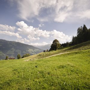 Almlandschaft im Zillertal Genieße bei Deinen Wanderungen rund um das Explorer Hotel Zillertal ein traumhaftes Panorama.