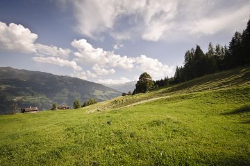 Almlandschaft im Zillertal