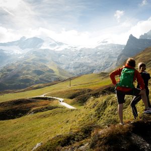 Eine Rast zahlt sich aus - traumhafte Ausblicke auf den Hintertuxer Gletscher Genieße bei Deiner Wandertour den Ausblick auf den Hintertuxer Gletscher.
