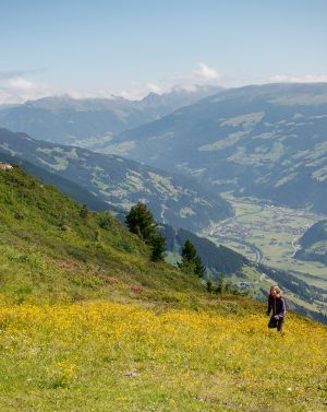 MayrhofnerBergbahnen ActionbergPenken Aussicht auf Zillertal