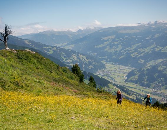 MayrhofnerBergbahnen ActionbergPenken Aussicht auf Zillertal