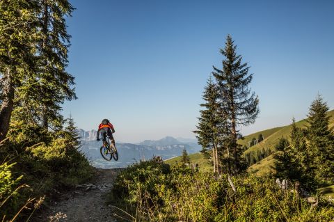 Tolle Trails erwarten Dich rund um St.Johann in Tirol Sprung mit dem mountainbike in den kitzbueheler alpen ©eye5carlosblanchard